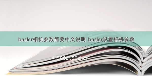 basler相机参数简要中文说明_basler设置相机参数