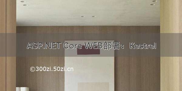 ASP.NET Core WEB部署：Kestrel