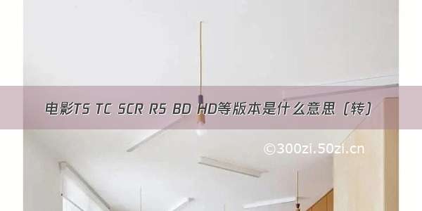 电影TS TC SCR R5 BD HD等版本是什么意思（转）