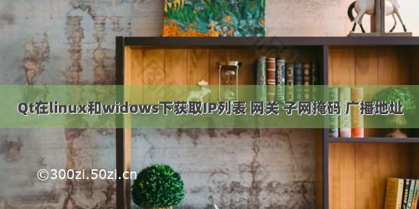 Qt在linux和widows下获取IP列表 网关 子网掩码 广播地址