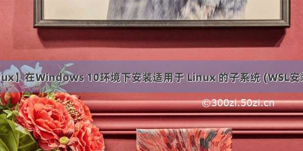 【Linux】在Windows 10环境下安装适用于 Linux 的子系统 (WSL安装指南)