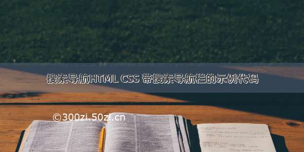 搜索导航HTML CSS 带搜索导航栏的示例代码