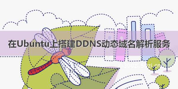 在Ubuntu上搭建DDNS动态域名解析服务