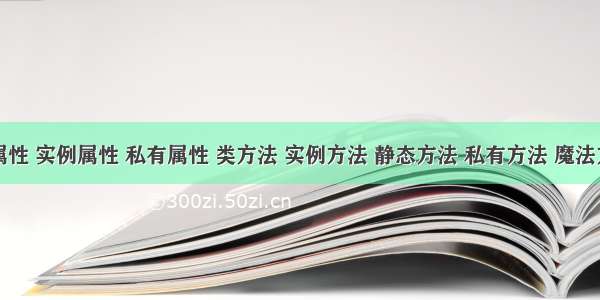 类属性 实例属性 私有属性 类方法 实例方法 静态方法 私有方法 魔法方法