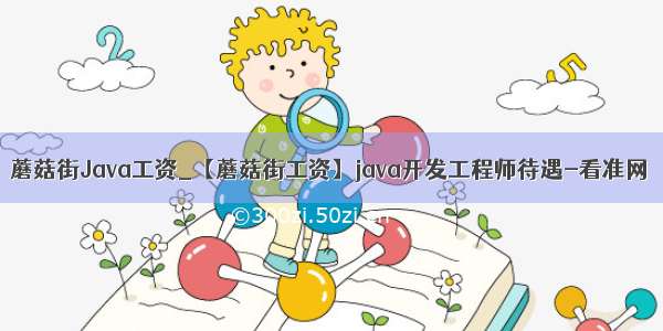 蘑菇街Java工资_【蘑菇街工资】java开发工程师待遇-看准网