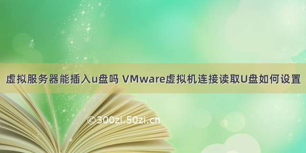 虚拟服务器能插入u盘吗 VMware虚拟机连接读取U盘如何设置