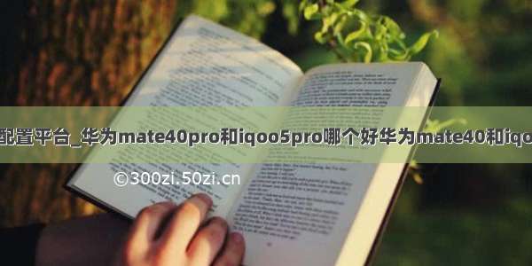 华为手机对比参数配置平台_华为mate40pro和iqoo5pro哪个好华为mate40和iqoo5参数对比测评...