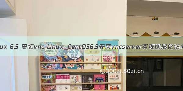 linux 6.5 安装vnc Linux_CentOS6.5安装vncserver实现图形化访问