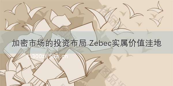 加密市场的投资布局 Zebec实属价值洼地