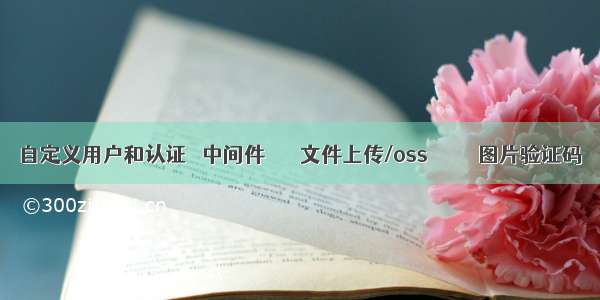 自定义用户和认证  	中间件  	    文件上传/oss         	图片验证码