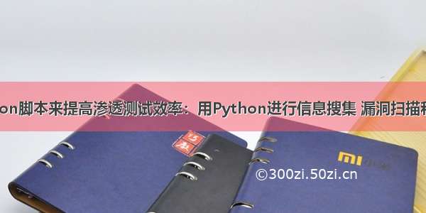 编写Python脚本来提高渗透测试效率：用Python进行信息搜集 漏洞扫描和口令猜测