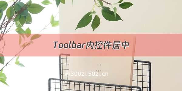 Toolbar内控件居中