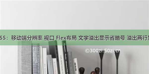 HTML+CSS：移动端分辨率 视口 Flex布局 文字溢出显示省略号 溢出两行显示省略号