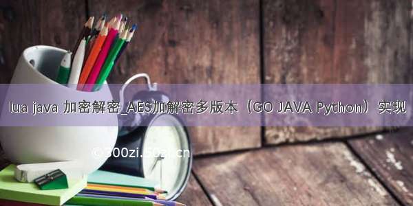 lua java 加密解密_AES加解密多版本（GO JAVA Python）实现