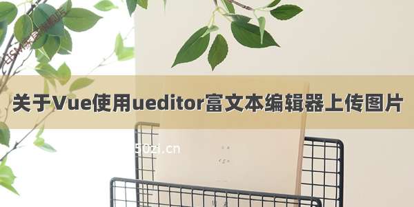 关于Vue使用ueditor富文本编辑器上传图片