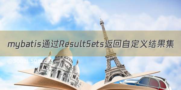 mybatis通过ResultSets返回自定义结果集