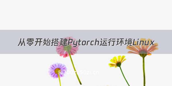 从零开始搭建Pytorch运行环境Linux