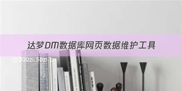 达梦DM数据库网页数据维护工具