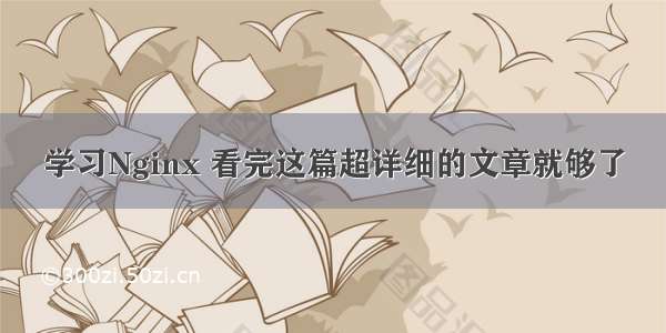 学习Nginx 看完这篇超详细的文章就够了