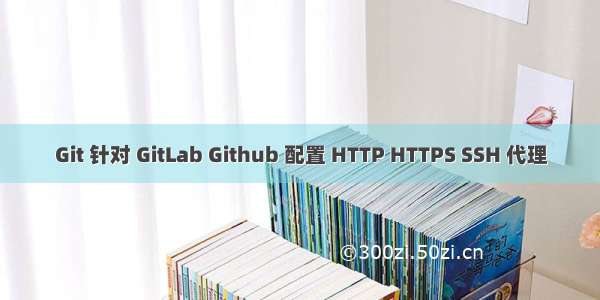 Git 针对 GitLab Github 配置 HTTP HTTPS SSH 代理