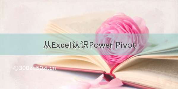 从Excel认识Power Pivot