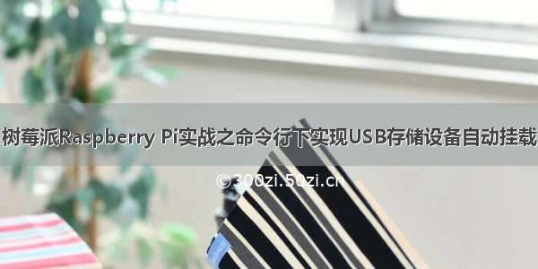 树莓派Raspberry Pi实战之命令行下实现USB存储设备自动挂载