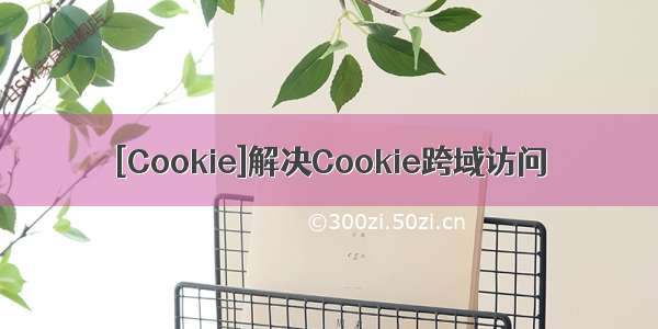 [Cookie]解决Cookie跨域访问
