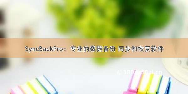 SyncBackPro：专业的数据备份 同步和恢复软件