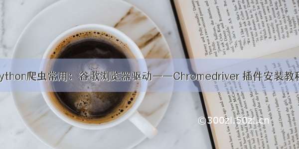 Python爬虫常用：谷歌浏览器驱动——Chromedriver 插件安装教程