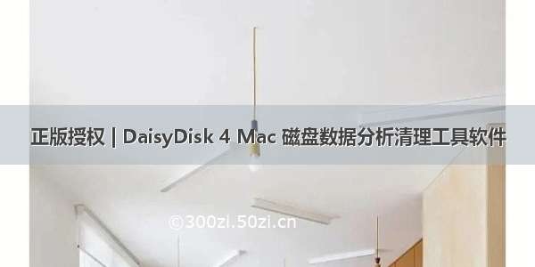 正版授权 | DaisyDisk 4 Mac 磁盘数据分析清理工具软件