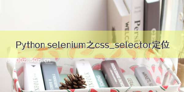 Python selenium之css_selector定位