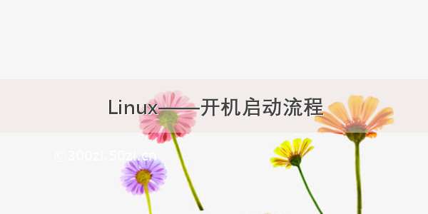 Linux——开机启动流程
