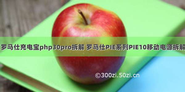 罗马仕充电宝php30pro拆解 罗马仕PIE系列PIE10移动电源拆解