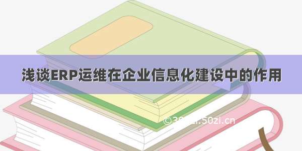 浅谈ERP运维在企业信息化建设中的作用