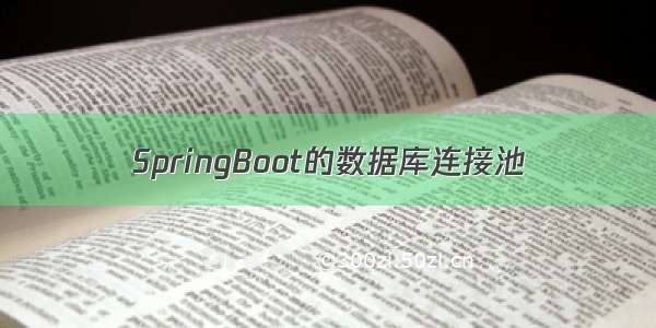 SpringBoot的数据库连接池