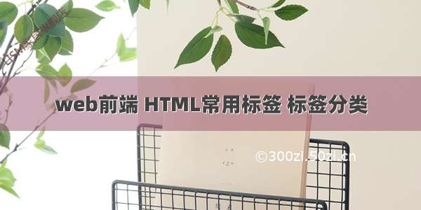 web前端 HTML常用标签 标签分类