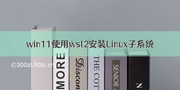 win11使用wsl2安装Linux子系统