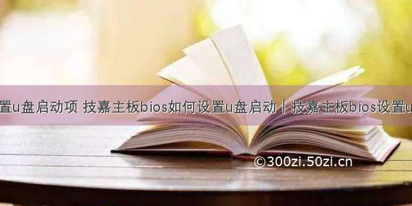 技嘉 linux设置u盘启动项 技嘉主板bios如何设置u盘启动丨技嘉主板bios设置u盘启动图解...