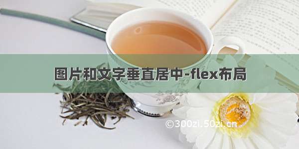 图片和文字垂直居中-flex布局