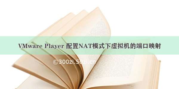 VMware Player 配置NAT模式下虚拟机的端口映射