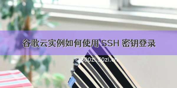 谷歌云实例如何使用 SSH 密钥登录