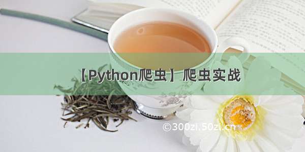 【Python爬虫】爬虫实战