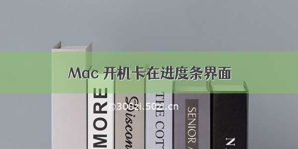 Mac 开机卡在进度条界面