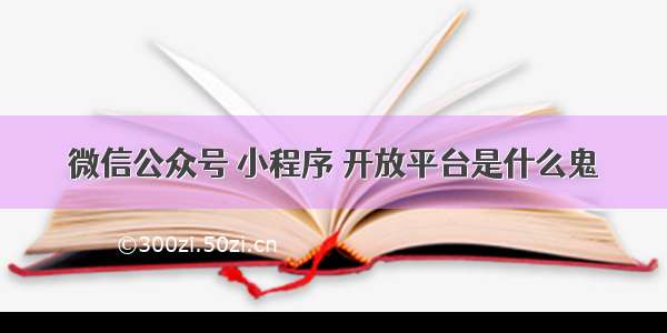 微信公众号 小程序 开放平台是什么鬼