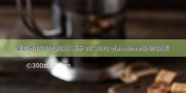 瑞芯微RK3128芯片手册 RK3128 datasheet技术资料