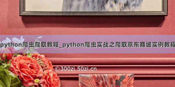 python爬虫爬取教程_python爬虫实战之爬取京东商城实例教程