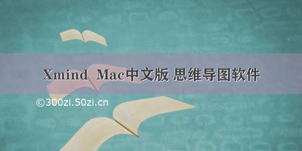 Xmind  Mac中文版 思维导图软件