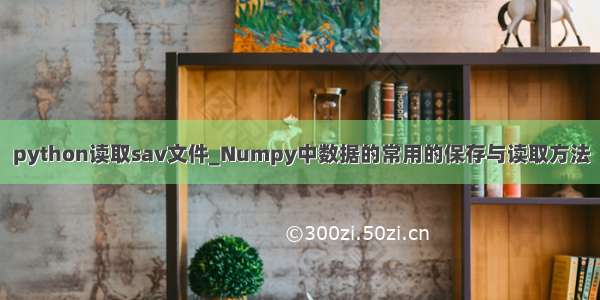 python读取sav文件_Numpy中数据的常用的保存与读取方法