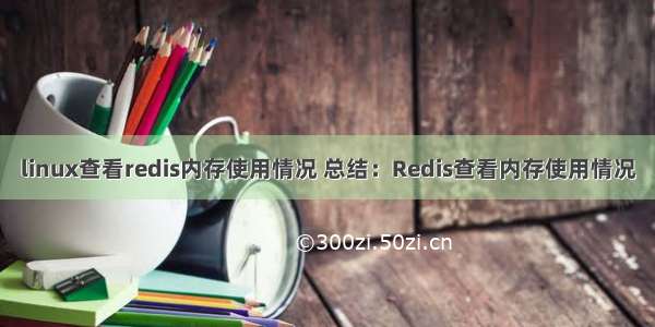 linux查看redis内存使用情况 总结：Redis查看内存使用情况