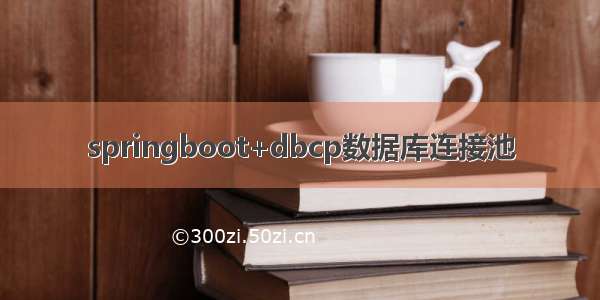 springboot+dbcp数据库连接池